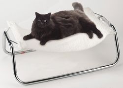 Cat Hammock picture