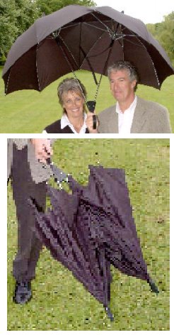 fashion umbrellas picture