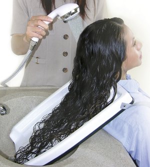 Hair Wash Trays picture