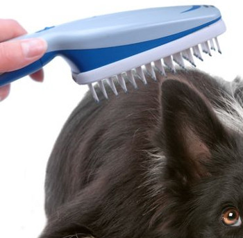 Ionic Pet Brush picture