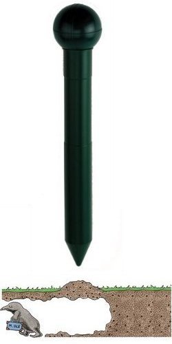 Mole Control picture