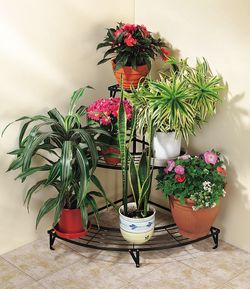 Plant Stand - Metal - Corner picture