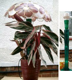 plant touch lights picture