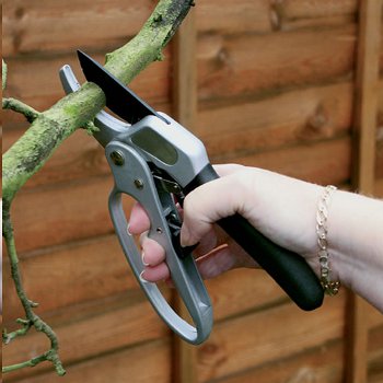 Ratchet Pruners For Gardeners picture