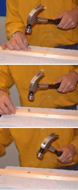 screws nails bolts fastener picture