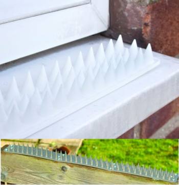 Security Spikes picture