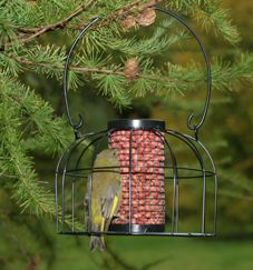 squirrel proof bird feeders picture