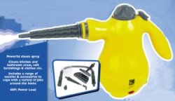 steam cleaner picture