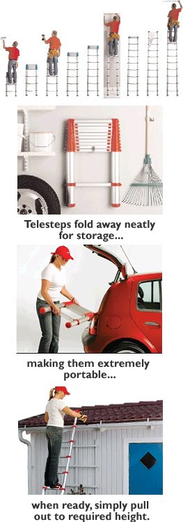 telesteps ladder picture