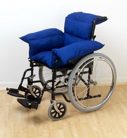 wheelchair cushions picture