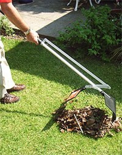 grabba rake picture