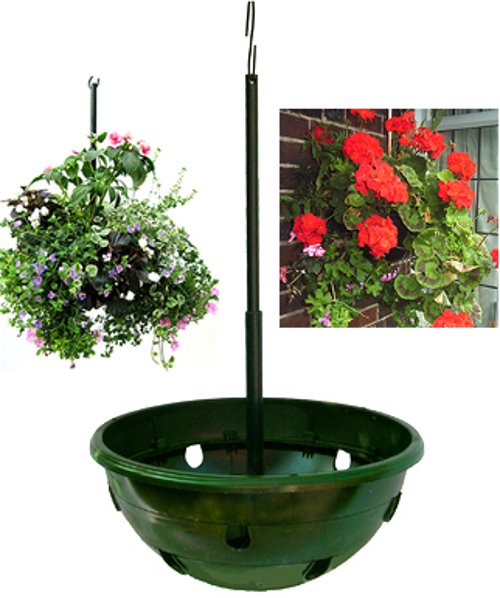 Hanging Baskets picture