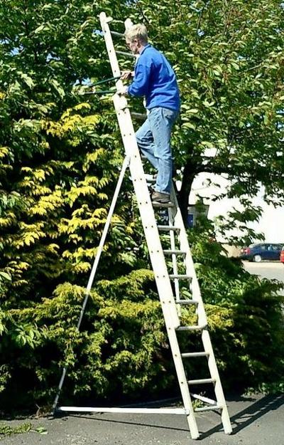 Ladder Stabiliser picture