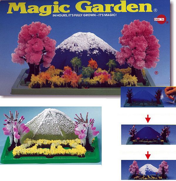 Magic Garden picture