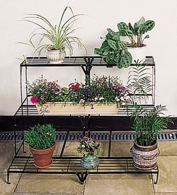Plant Stand - Metal - Rectangular picture