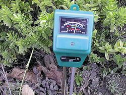 Plant Wizard soil tester picture