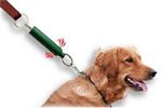 Stop Dog Pulling On Lead picture click to read more