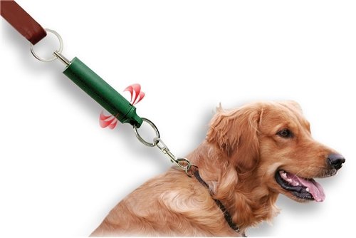 Train your dog not to pull on the outlet lead