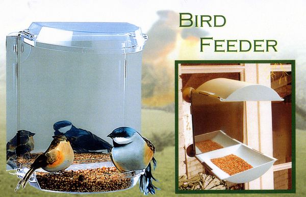 window bird feeder picture