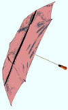 Windproof Umbrella In Pink picture click to read more